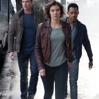 Whiskey Cavalier wallpaper