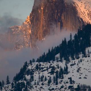 Vertical winter HD wallpaper