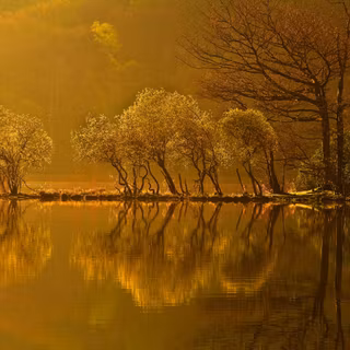 Autumn sunrise over lake wallpaper