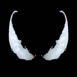 HD iPhone dark simple wallpaper