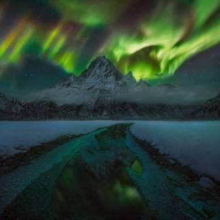 Winter green sky wallpaper