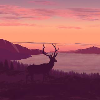 Minimal sunset wallpaper