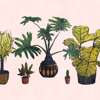 Aesthetic desktop plants wallpaper