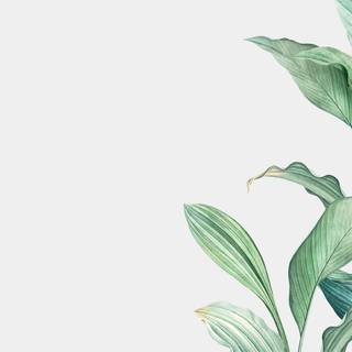 Aesthetic desktop plants wallpaper