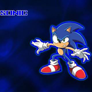 Sonic and Company fanart wallpaper