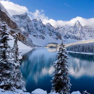 Winter season HD wallpaper