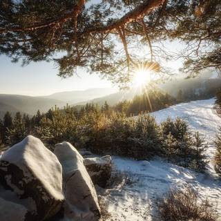 Winter mountain morning wallpaper