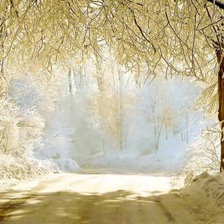 Earth winter HD wallpaper