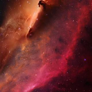 Xiaomi Redmi 9T wallpaper