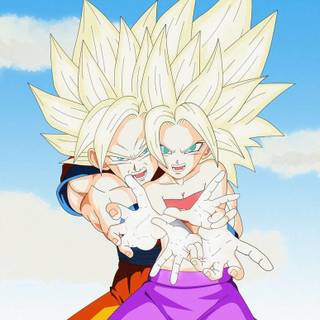 Goku x Caulifla wallpaper