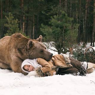 Winter bear love wallpaper