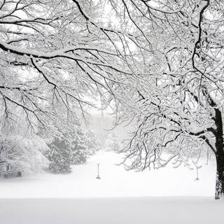 Storm winter wallpaper