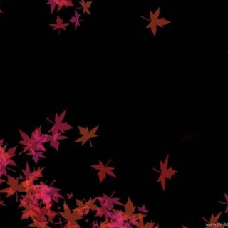 Dark autumn tree wallpaper