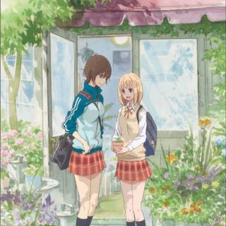 Asagao to Kase-san wallpaper