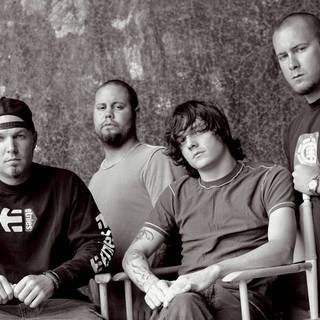 Wes Borland wallpaper