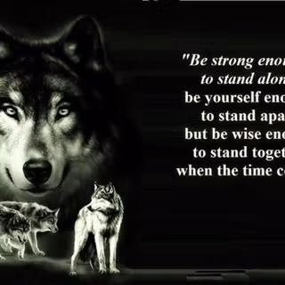Wolf fighting quotes wallpaper