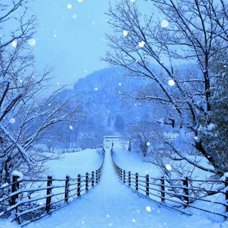 2880x1800 winter wallpaper