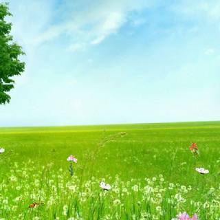 Spring 2021 wallpaper