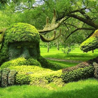 Botanical garden Ultra HD wallpaper