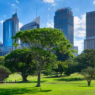 Botanical garden Ultra HD wallpaper