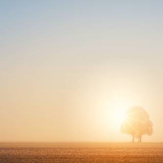 Sunlight Ultra HD wallpaper