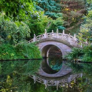 Botanical garden Ultra HD wallpaper