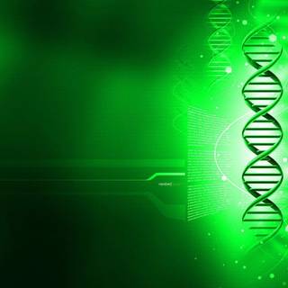 Biology laptop wallpaper