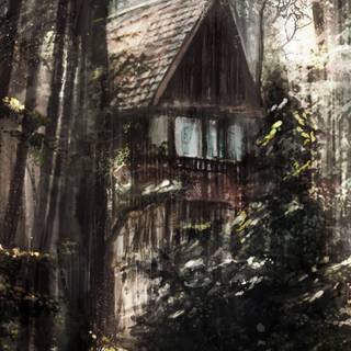 Abandoned house wallpaper