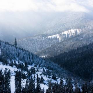 Winter valley wallpaper