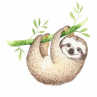 Sloth cartoon wallpaper