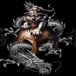 Tiger and dragon wallpaper