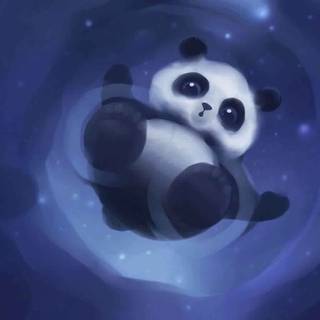Panda Ultra HD wallpaper