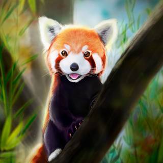 Panda Ultra HD wallpaper