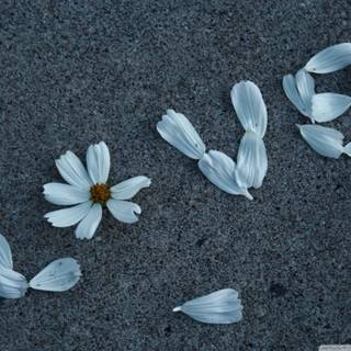 Love messages wallpaper