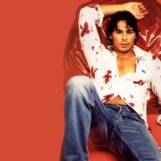 Dino Morea wallpaper
