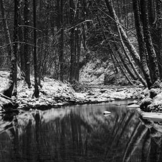 Winter scene phone wallpaper