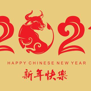 Chinese New Year 2021 HD wallpaper