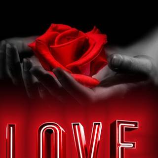 Happy Valentines Day 2021 wallpaper