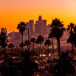 City landscape sunset wallpaper