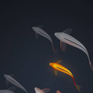 Aesthetic black HD wallpaper