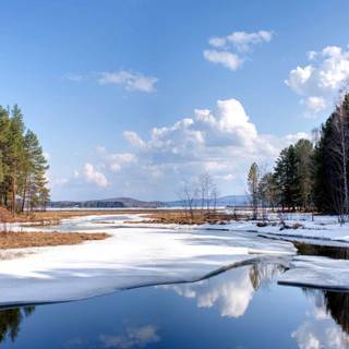 Melting winter wallpaper