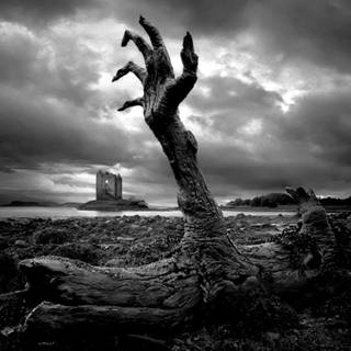 Zombie aesthetic wallpaper