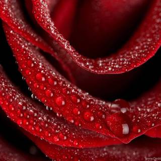 Nature 2021 wallpaper