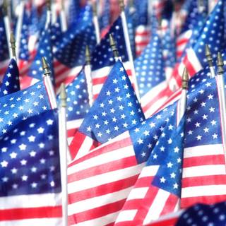 Women veteran wallpaper