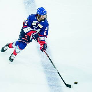 Tim Stützle wallpaper