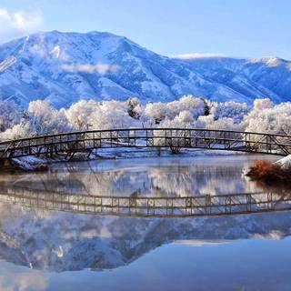 Winter sceneries wallpaper