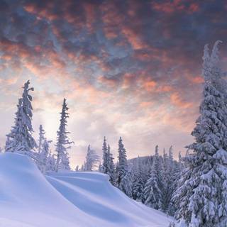 Winter sceneries wallpaper