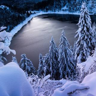 Earth winter wallpaper