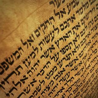 Torah wallpaper