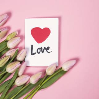 Valentine's Day plants wallpaper